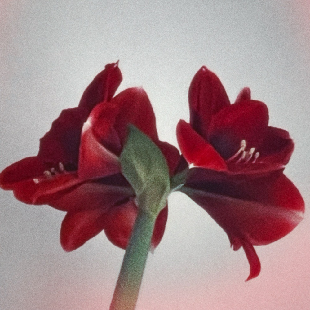 Meet your Posher, Kamissa ma